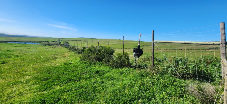 8 Bedroom Property for Sale in Mossel Bay Rural Western Cape